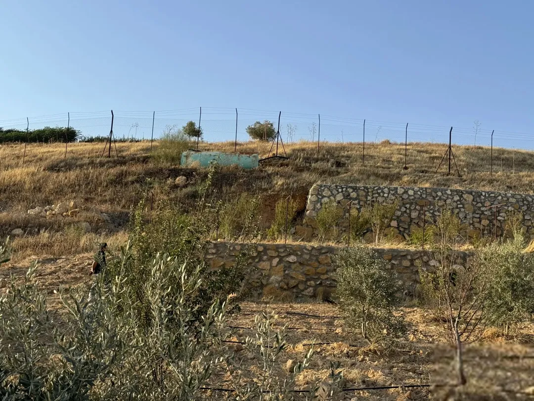 أرض زيتون بإطلالة ساحرة في منطقة شفا غورية على طريق جرش