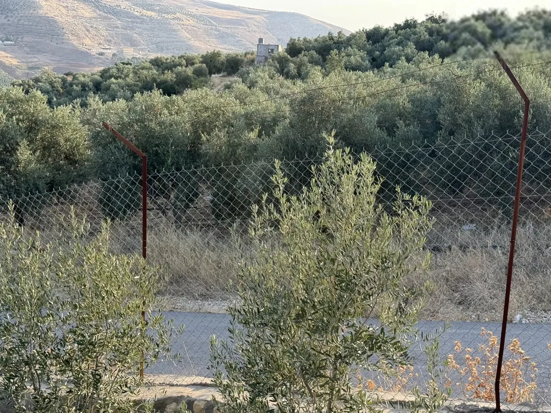 أرض زيتون بإطلالة ساحرة في منطقة شفا غورية على طريق جرش