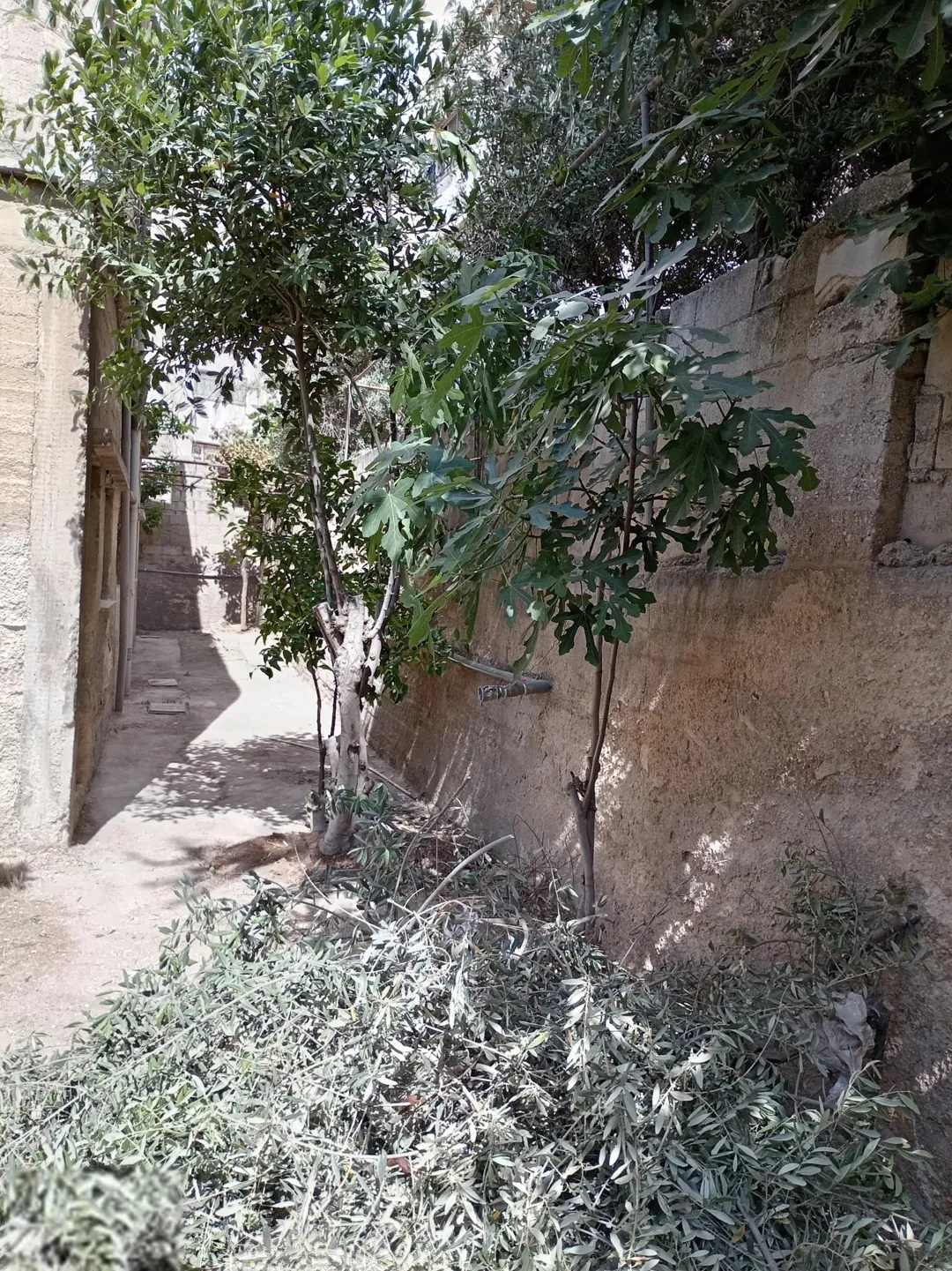 منزل مستقل للبيع في جبل النزهة – طابقين بمساحة أرض 281 م٢