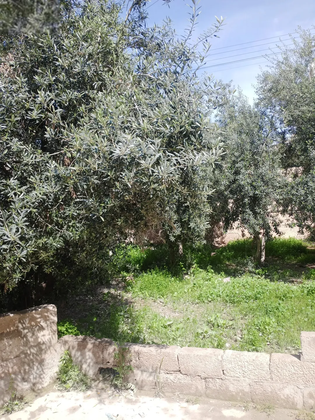 عمارة ثلاث طوابق