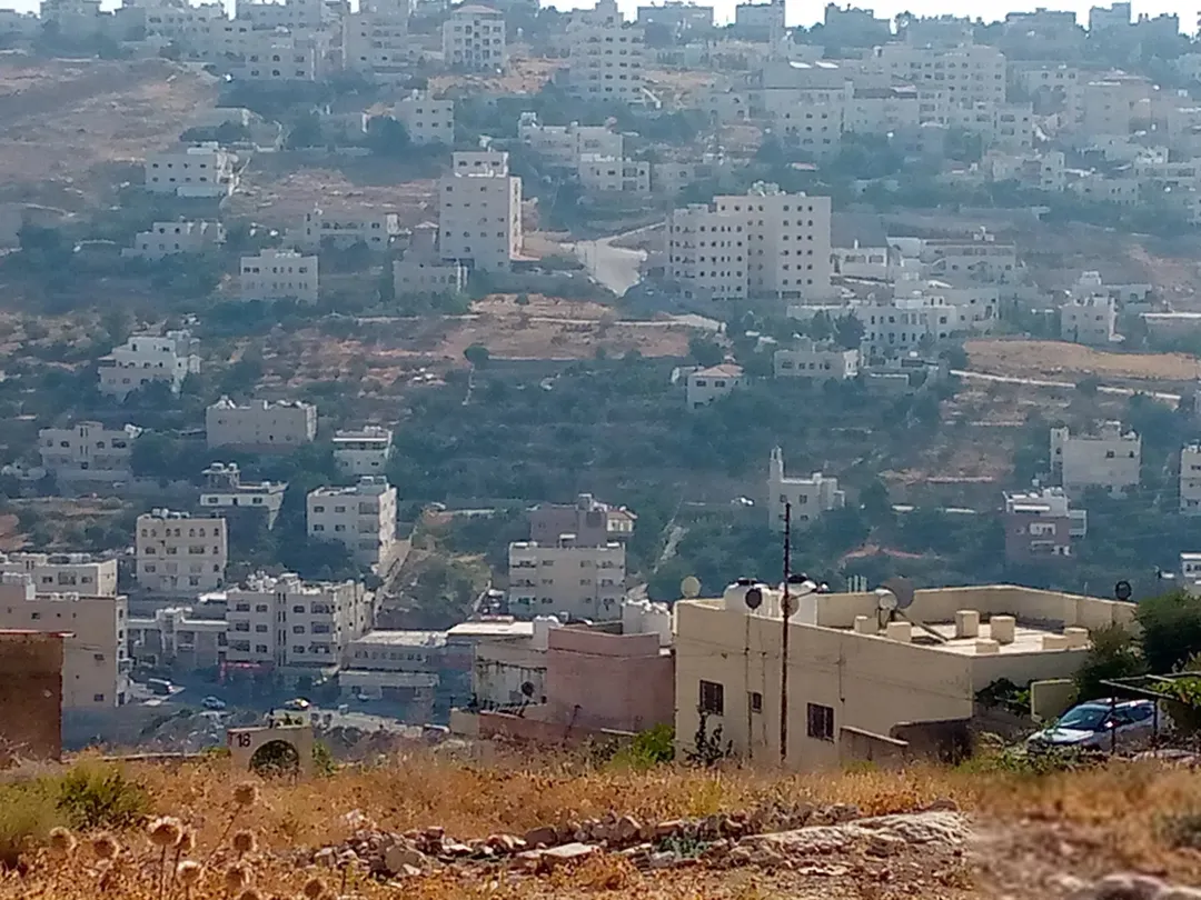 ارض للبيع في حوض سوادا الجنوبي متصلة بالخدمات