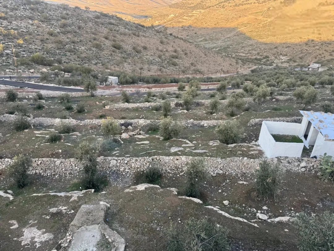 مزرعة للبيع مع إطلالة خلابة على الجبل وقربها من الخدمات
