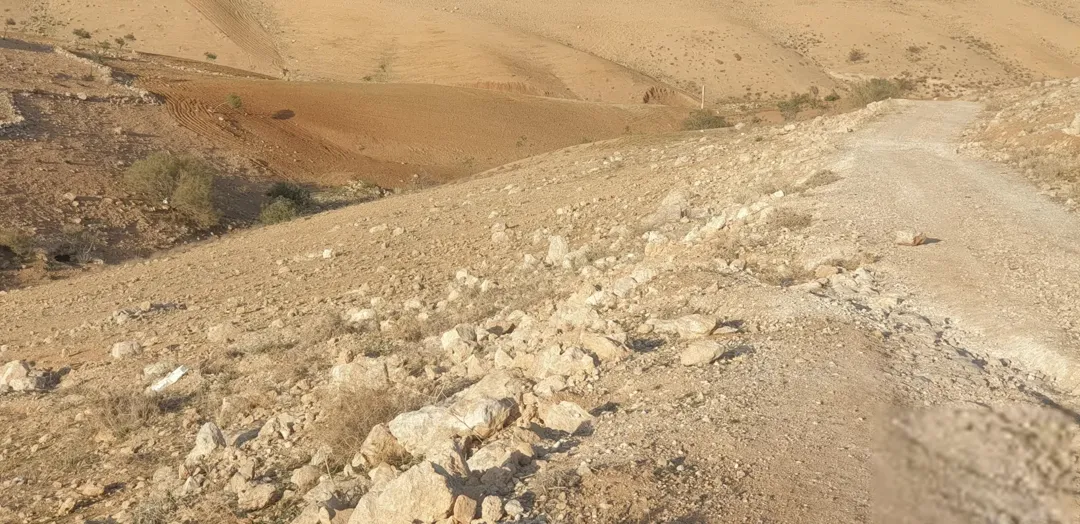 أرض زراعية للبيع في جريبا المدق بسعر 55,000 دينار أردني