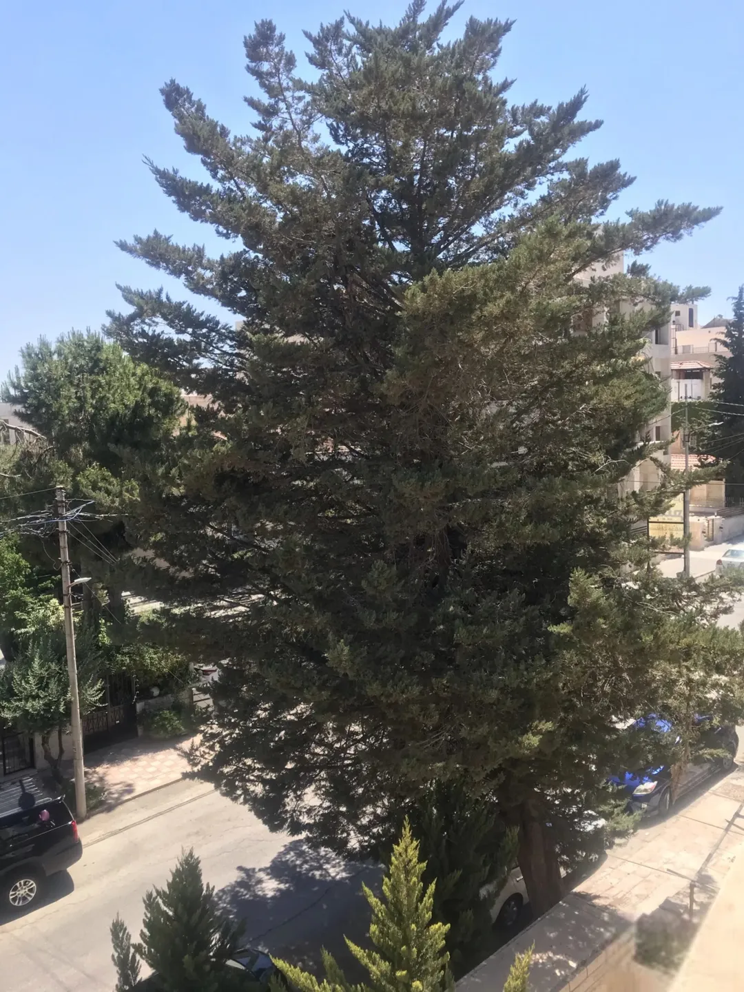 قطعة أرض مميزة للبيع في ضاحية الأمير راشد ام السماق