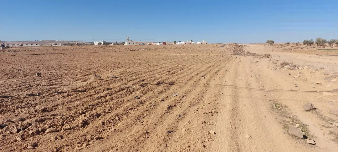 أرض للبيع المفرق الخربة السمراء مباشرة