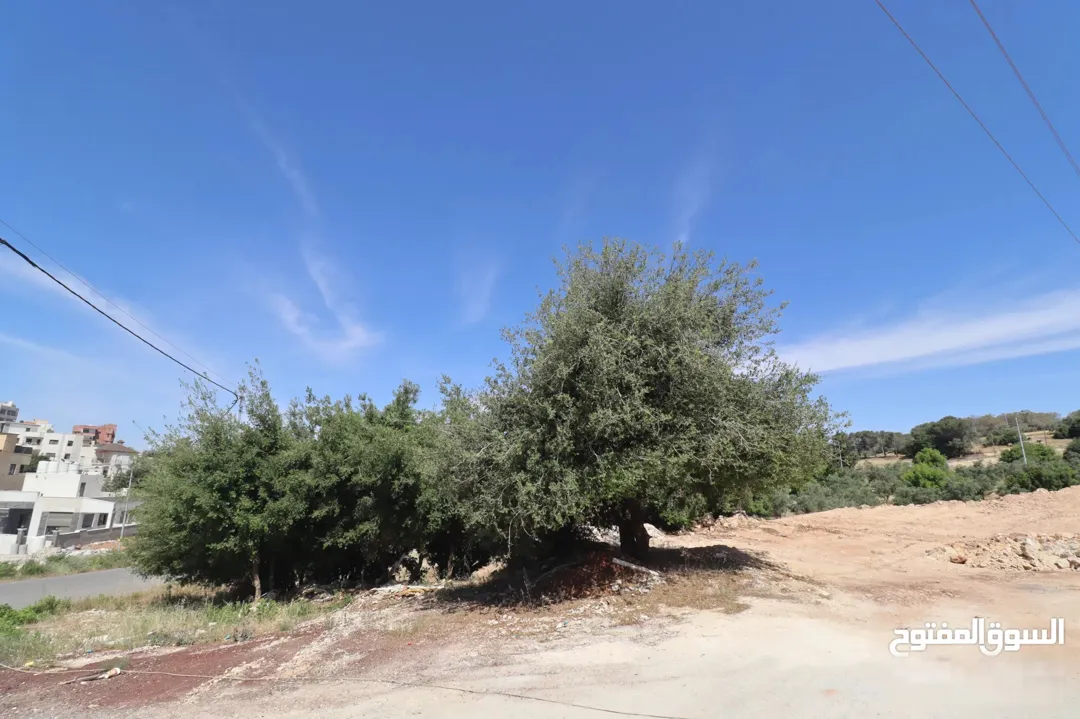 ارض للبيع في بدر الجديدة – 500 متر مربع – حوض الحديب – إطلالة خلابة