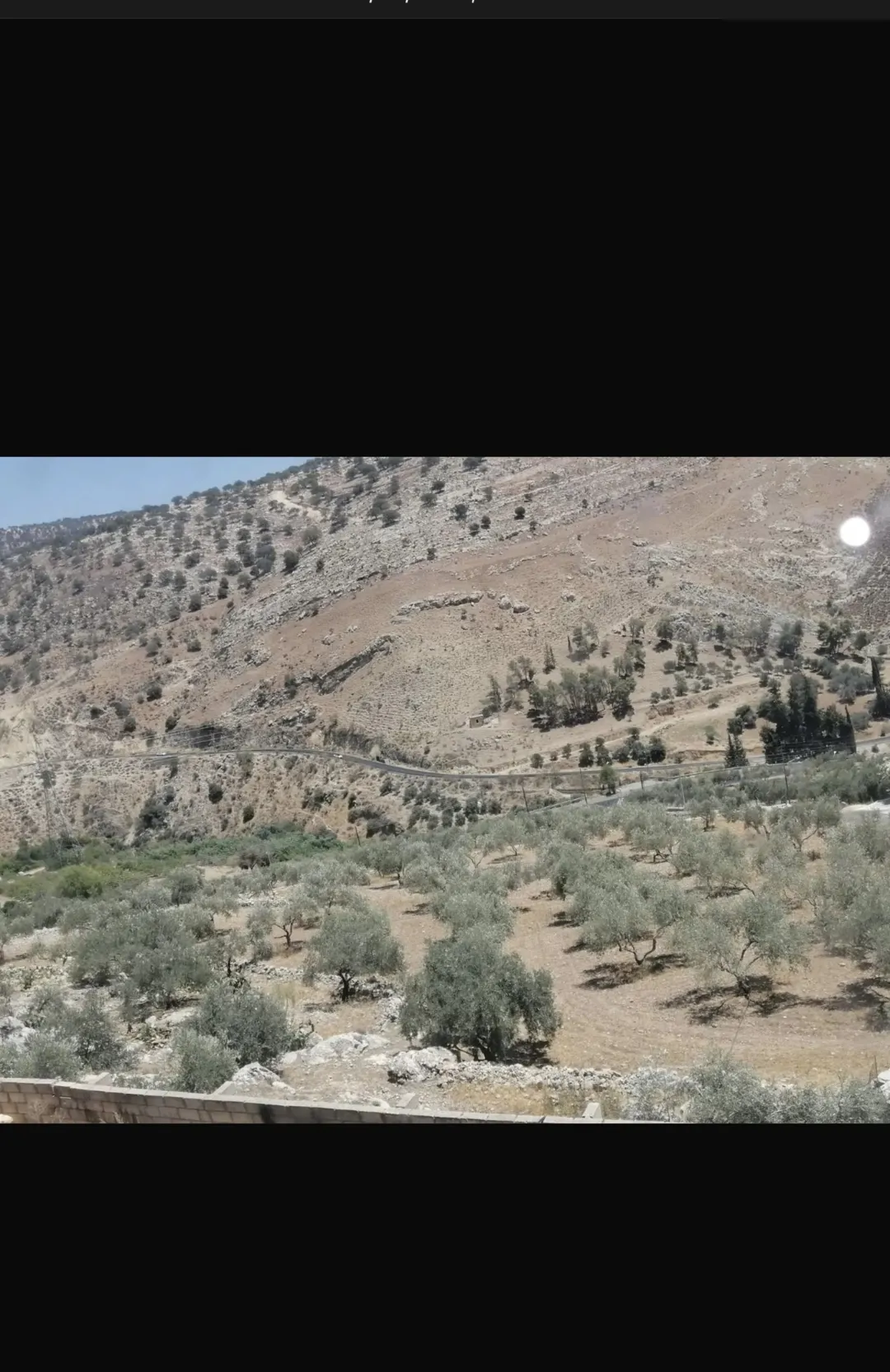ارض زراعيه