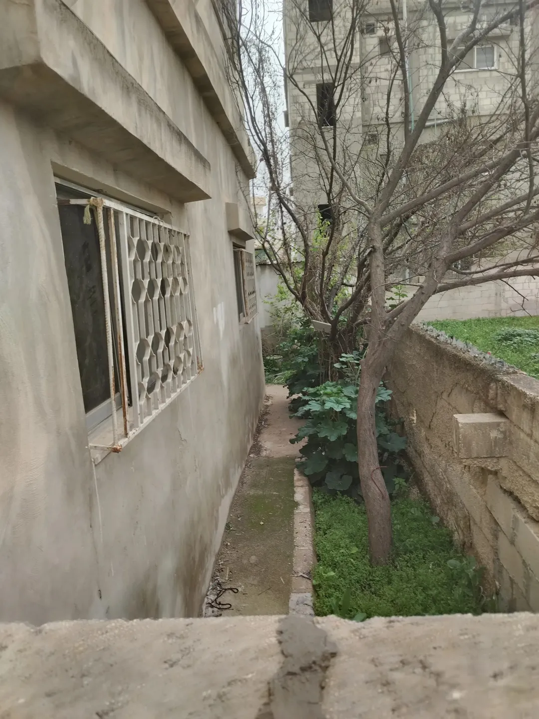 بيت مستقل الزرقاء الهاشميه من طابقين قريب من الخدمات كافه