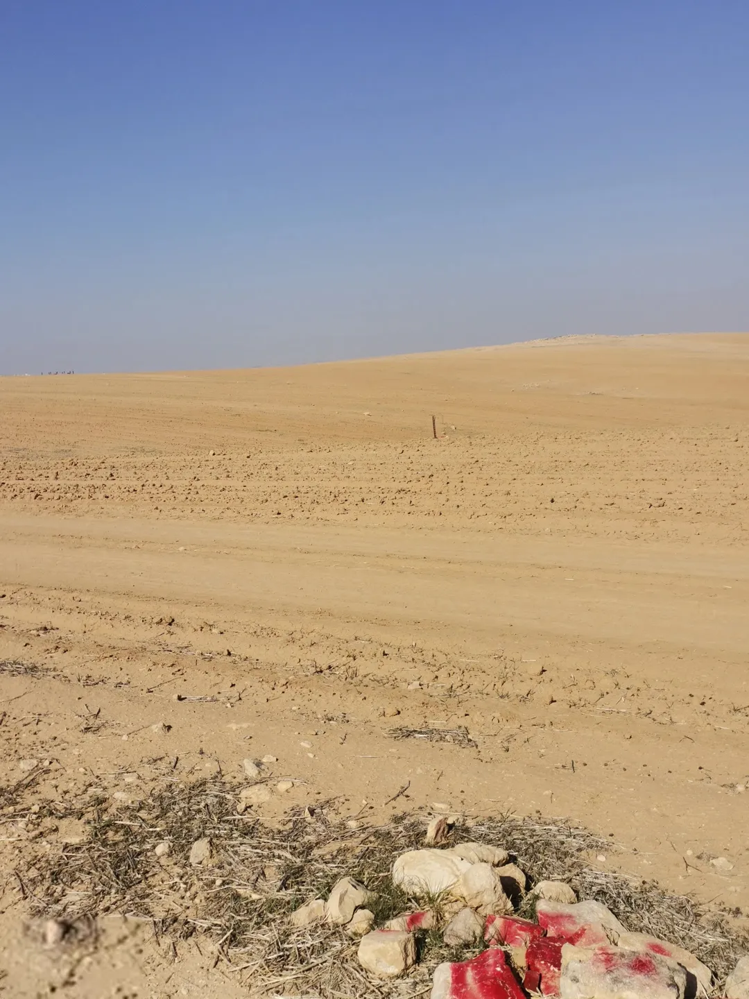 أرض زراعية للبيع في ذيبان – محافظة مادبا