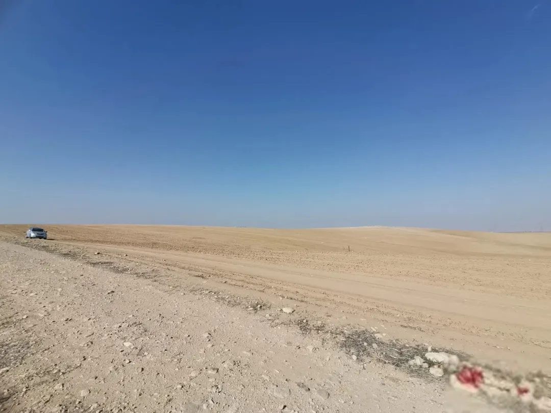 أرض زراعية للبيع في ذيبان – محافظة مادبا