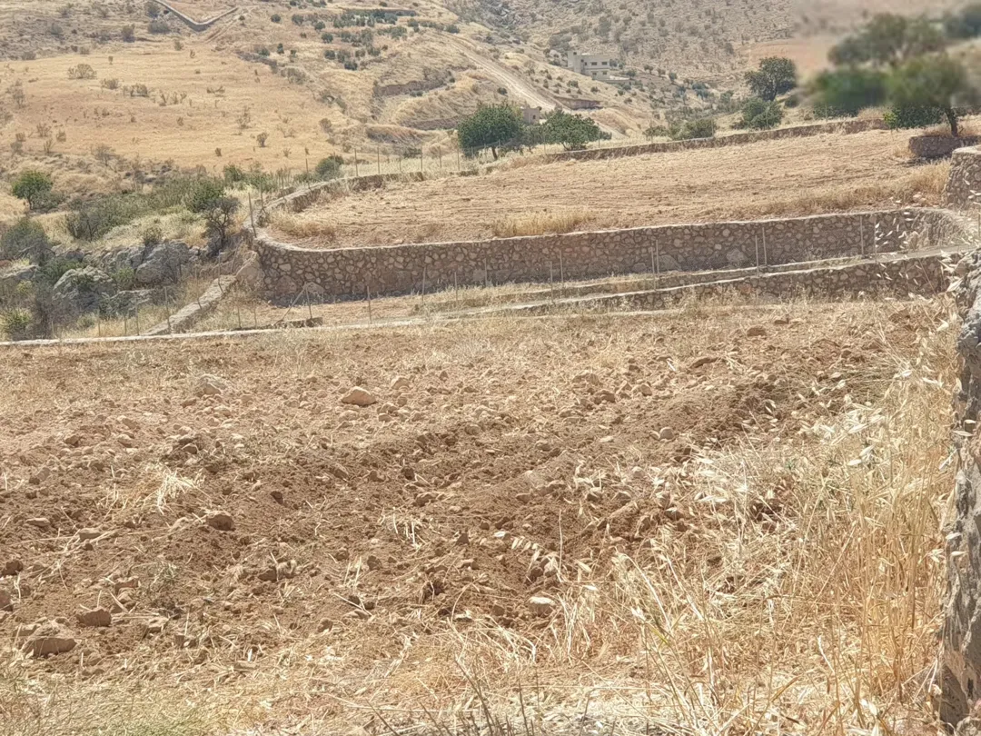 قطعة أرض زراعية مميزة في صروت بمساحة 5,125 م٢ وإطلالة مزدوجة