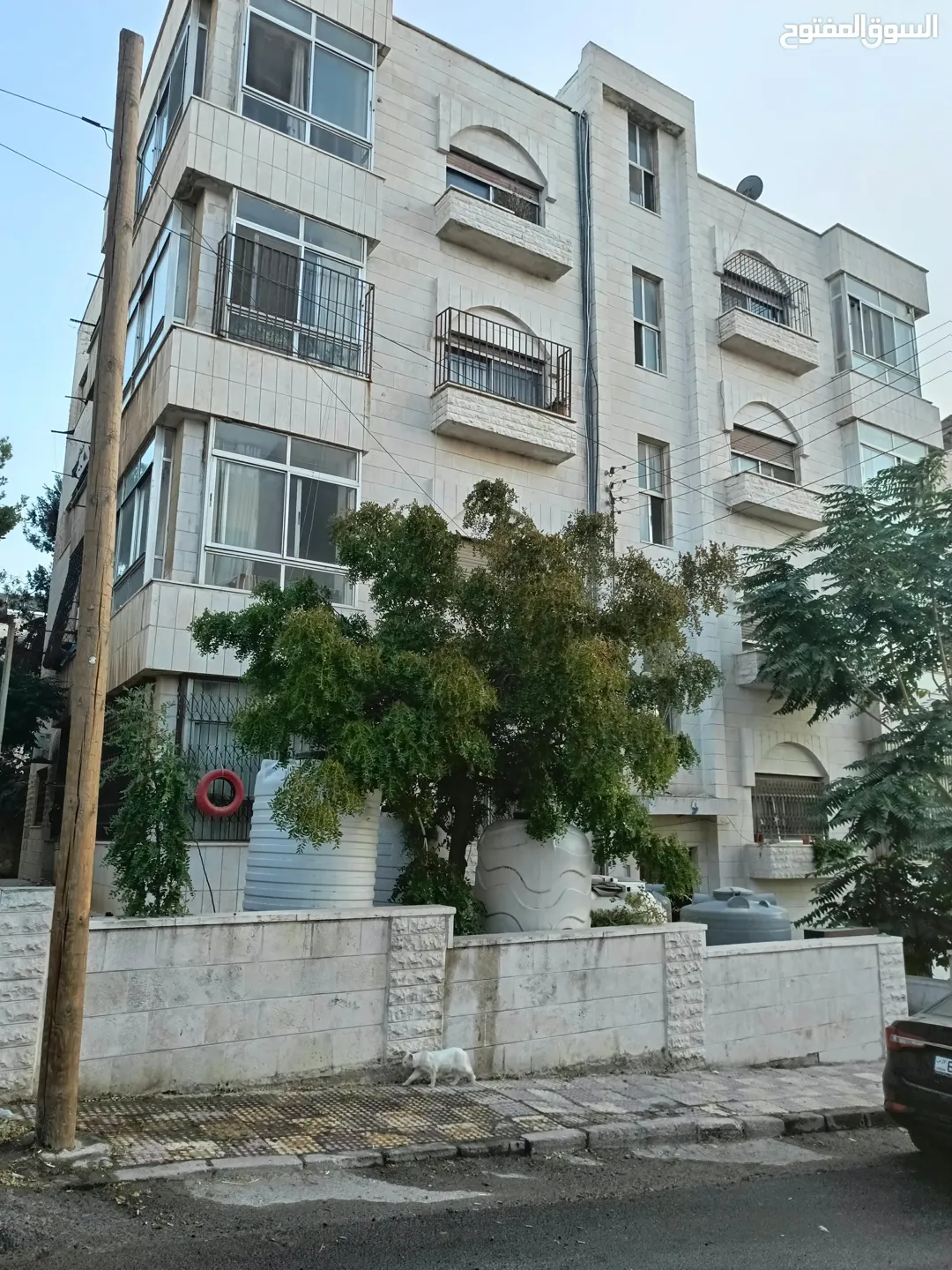 العماره 9شقق ومؤجره بالكامل