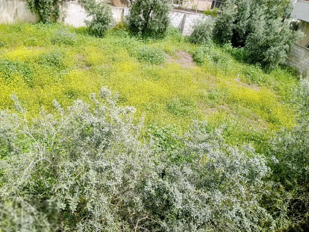أرض مميزة للبيع في إربد – حنينا