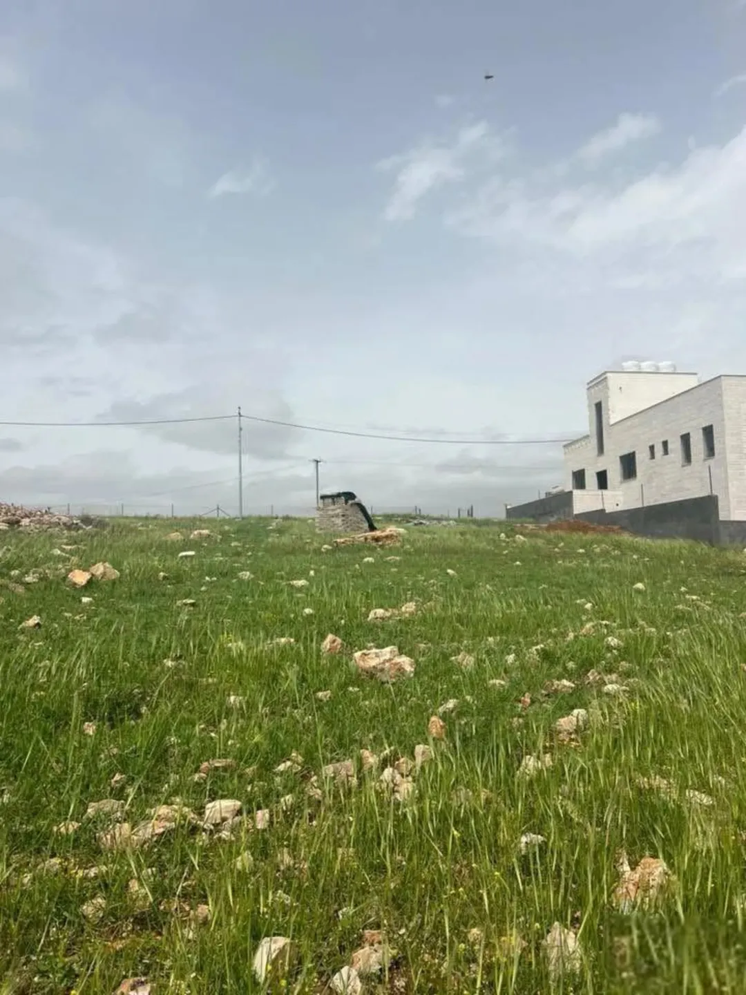 أرض للبيع في السرو مساحة نص دونم مستوية واطلالة عاليه جدا بسعر مغري
