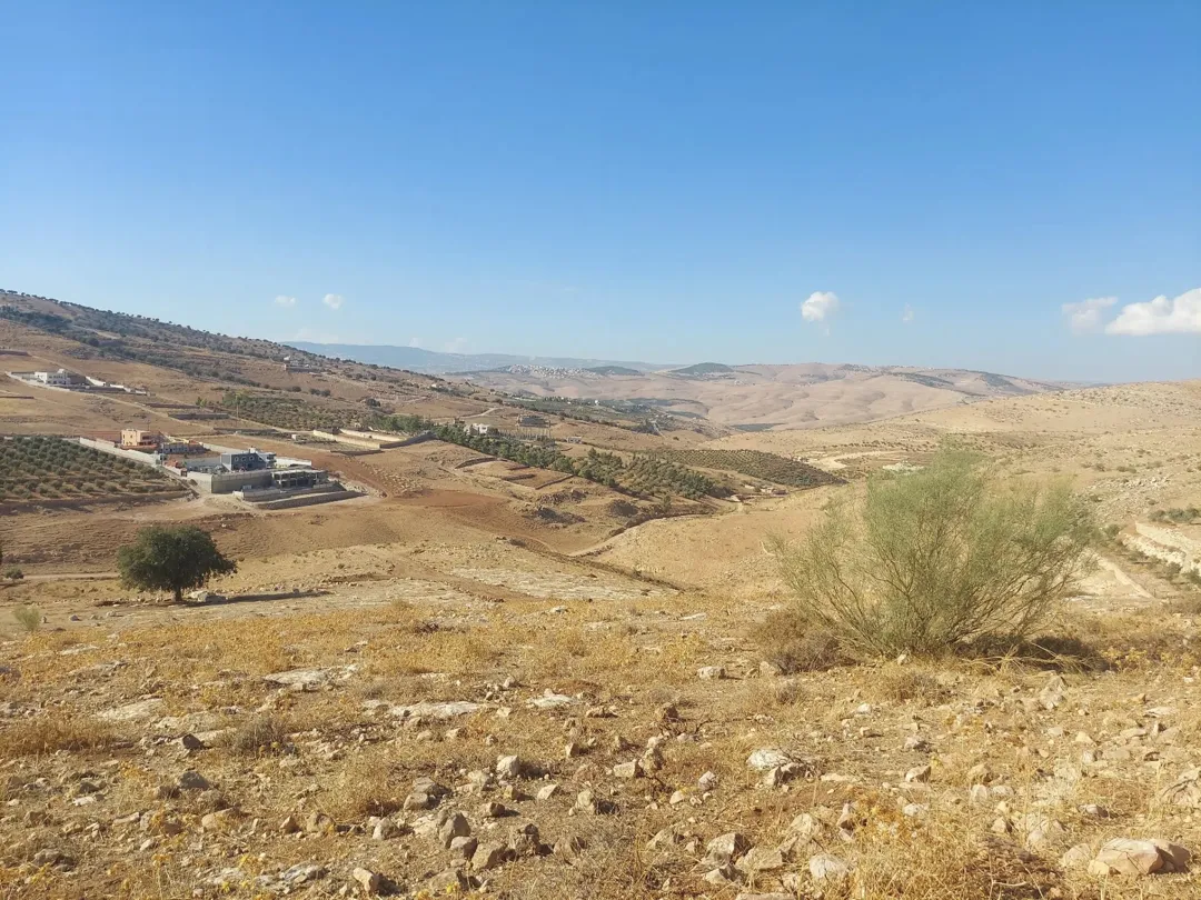ارض زراعية ذات اطلالة رائعة للبيع في صروت السفوح تصلح لمزرعة او شاليه او للاستثمار أو إقامة منتجع