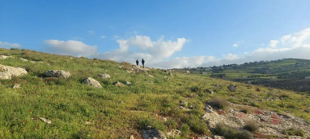 ارض زراعية ذات اطلالة رائعة للبيع في صروت السفوح تصلح لمزرعة او شاليه او للاستثمار أو إقامة منتجع