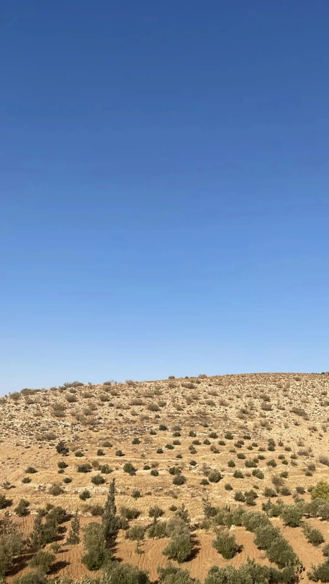 أرض زراعية مميزة للبيع في منطقة بيرين – الزرقاء