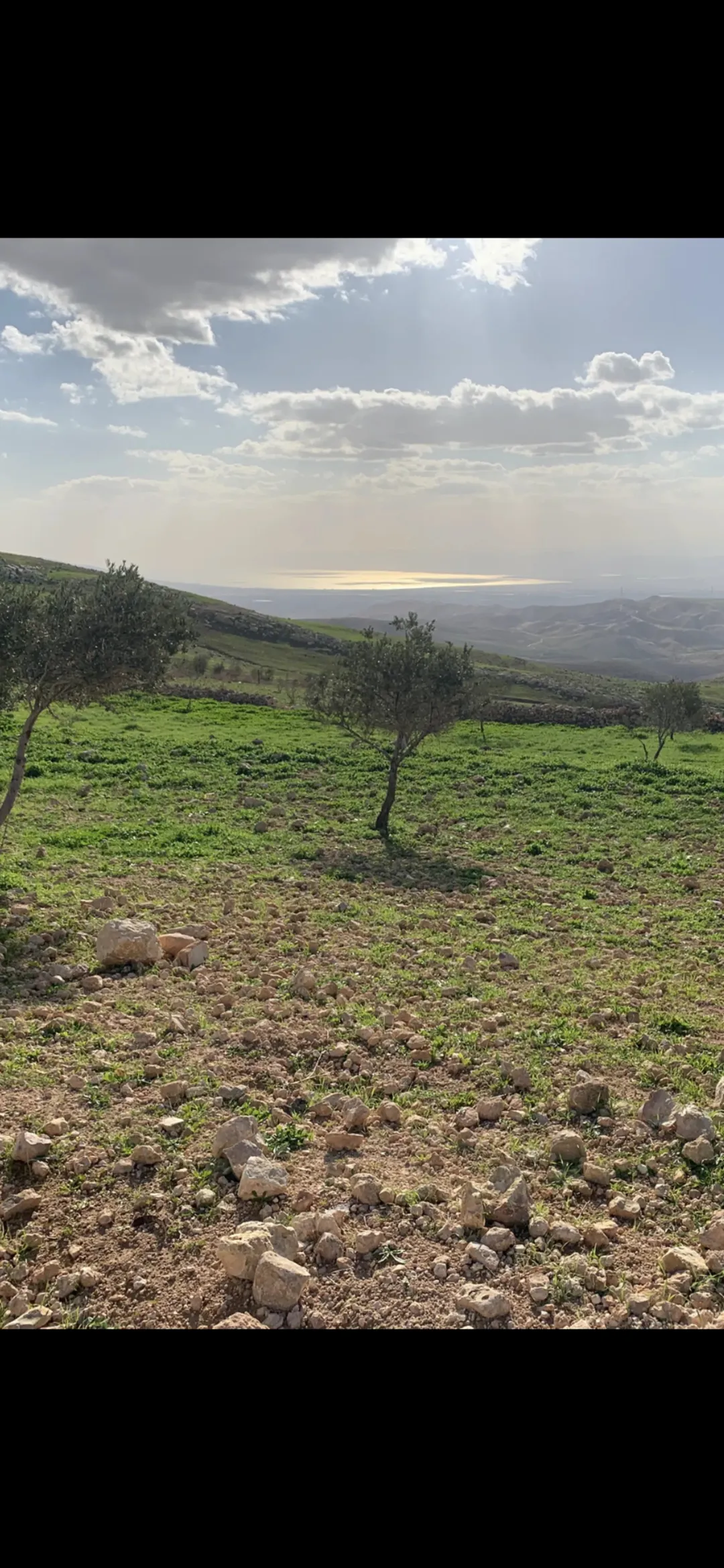 قطعة أرض 4 دونم و 254م للبيع – عراق الأمير من جهة بدر الجديده – مطله على البحر الميت و القدس الشريف