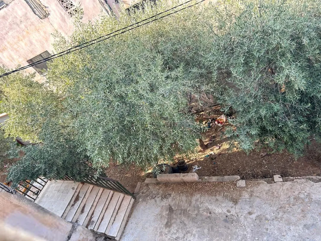 للبيع منزل بسعر 60000 دينار — صورة 3