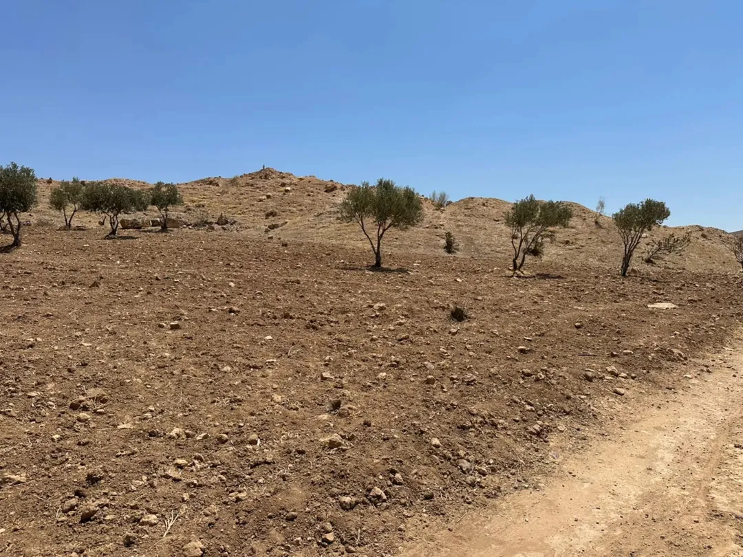 قطع أراضٍ للبيع في السلط حمرة الصحن والديرة