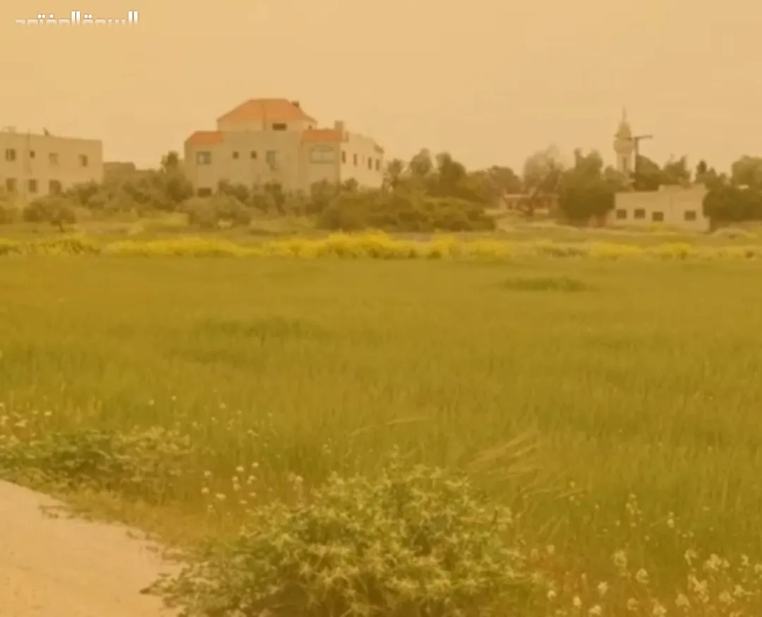 أرض للبيع في ناعور بإطلالة ساحرة على جبال القدس