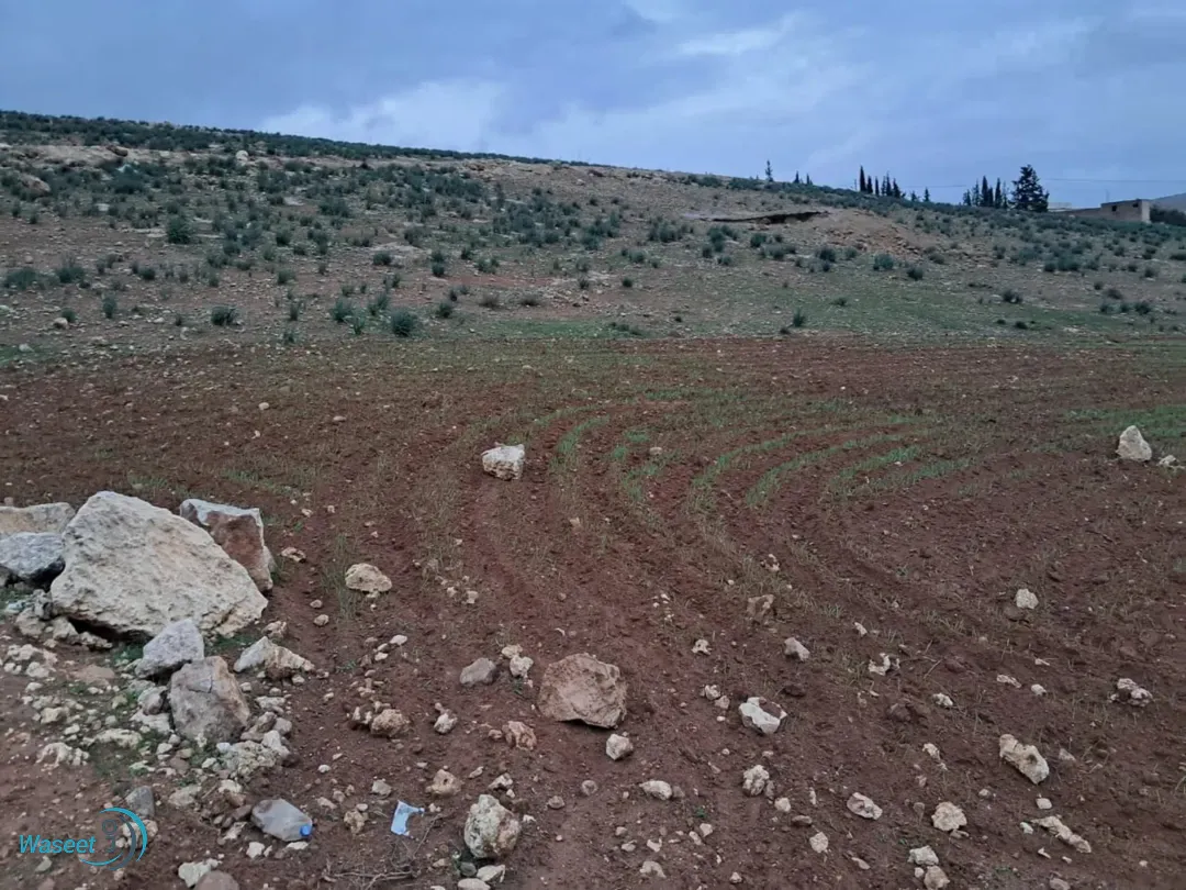 أرض زراعية للبيع