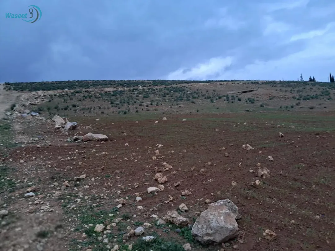 أرض زراعية للبيع