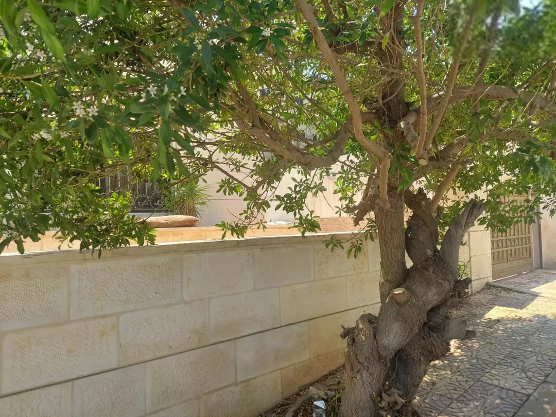 منزل للبيع في أبو علندا – إسكان الكهرباء