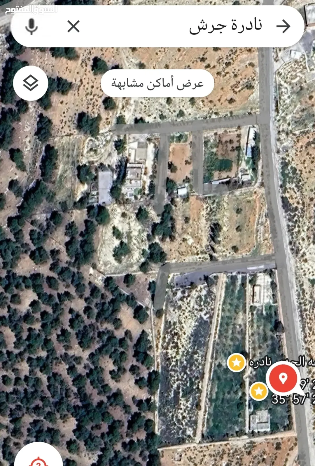 مزرعة ريفية مميزة للبيع في منطقة نادرة بالمفرق