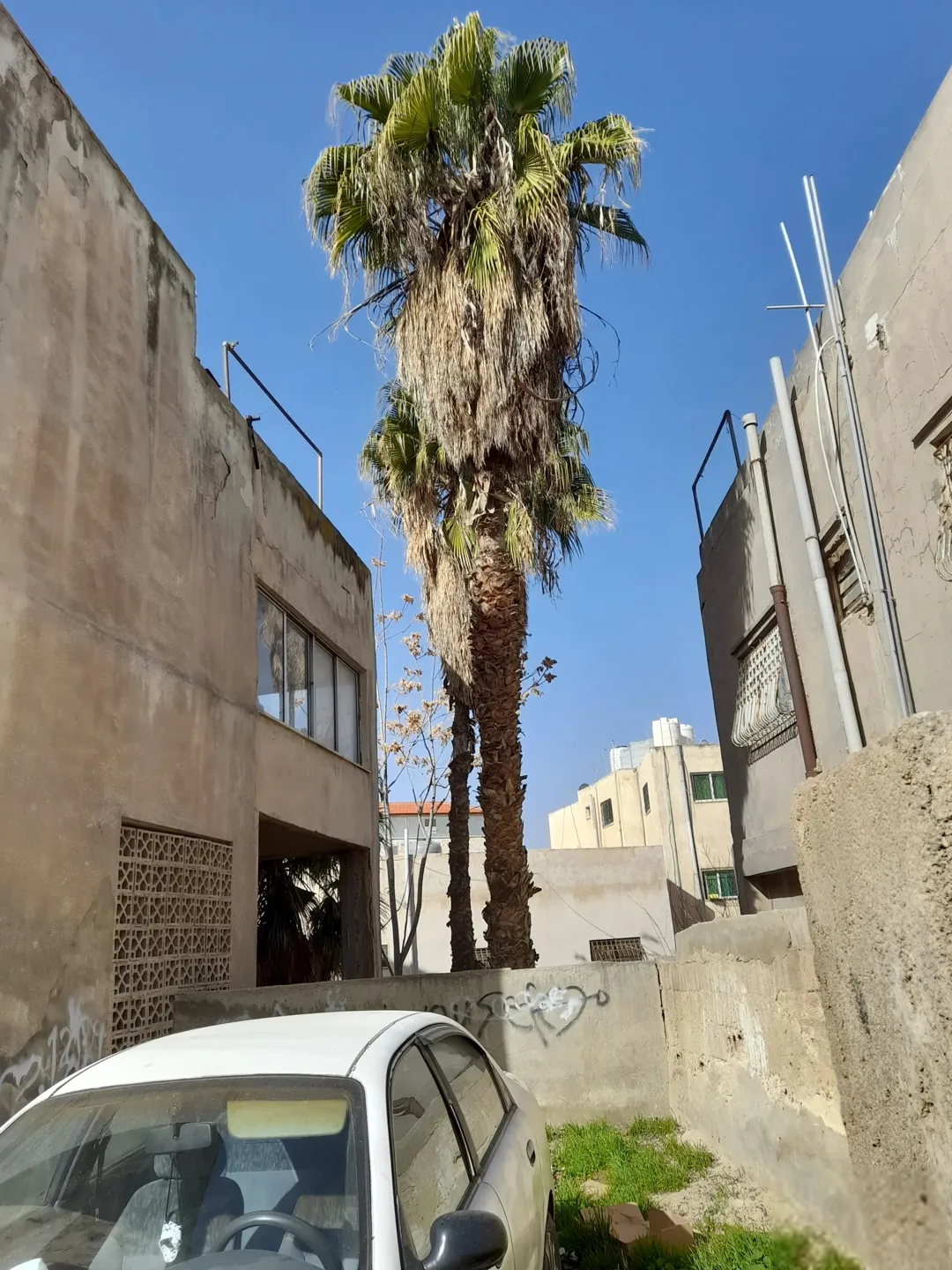 عمارة مؤلفة من طابقين وتسوية وروف بسعر شقة للبيع