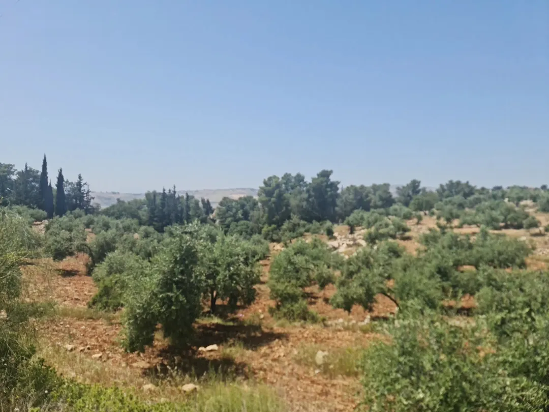 ارض للبيع في اجمل مناطق عمان [بدر الجديده] 650م حوض الكاشف