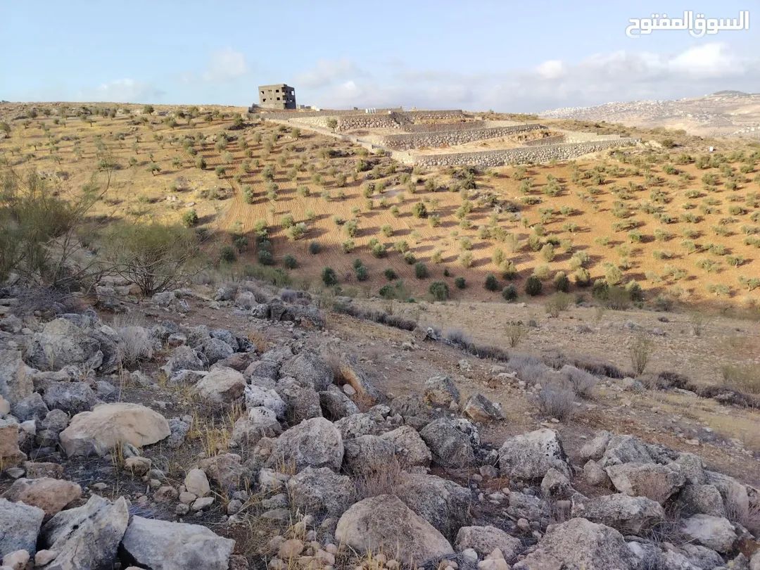 قطعة أرض مميزة في جرش الكفير بسعر استثنائي