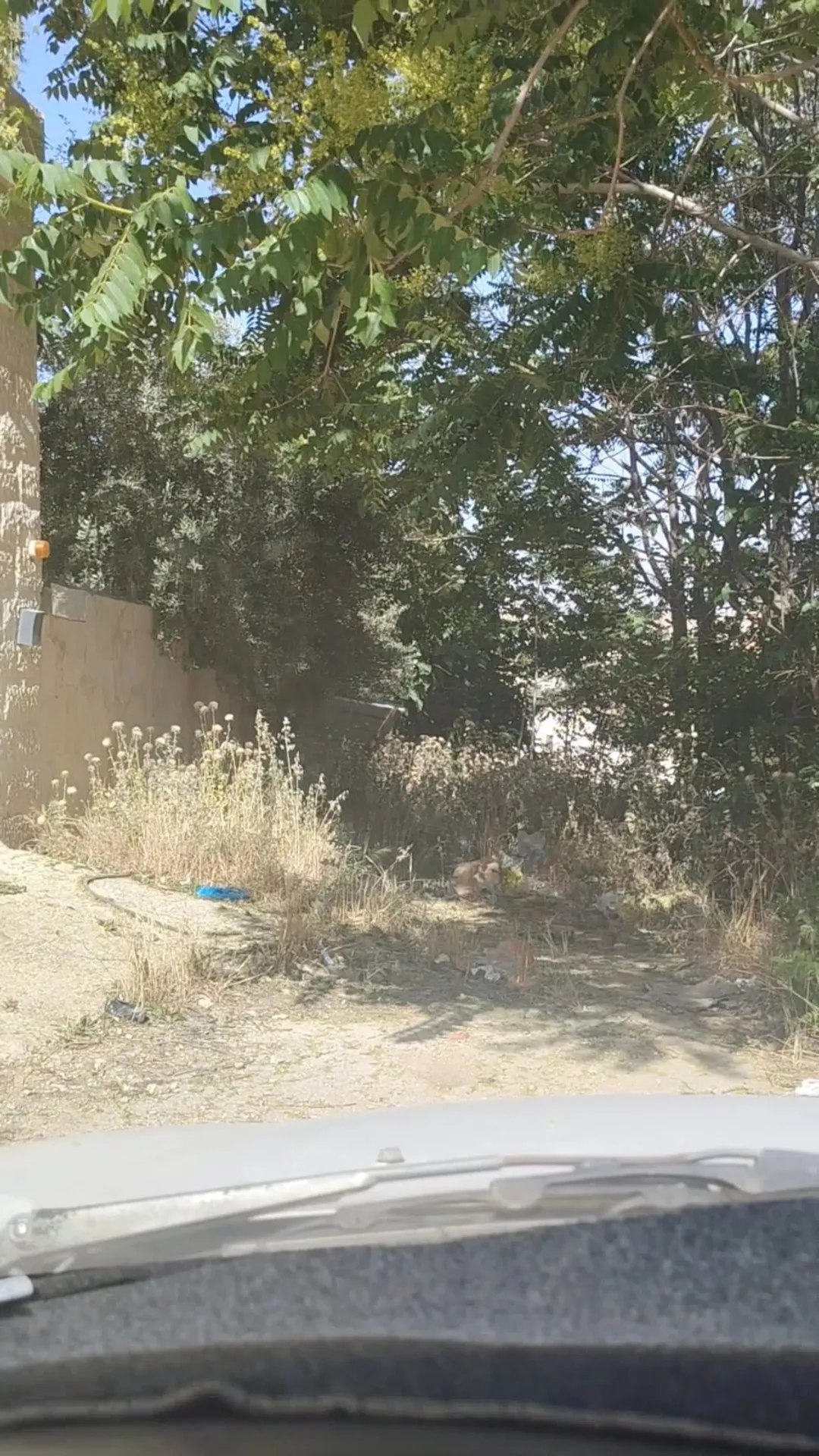 أرض بمساحة 6 دونم في منطقة جلول للبيع