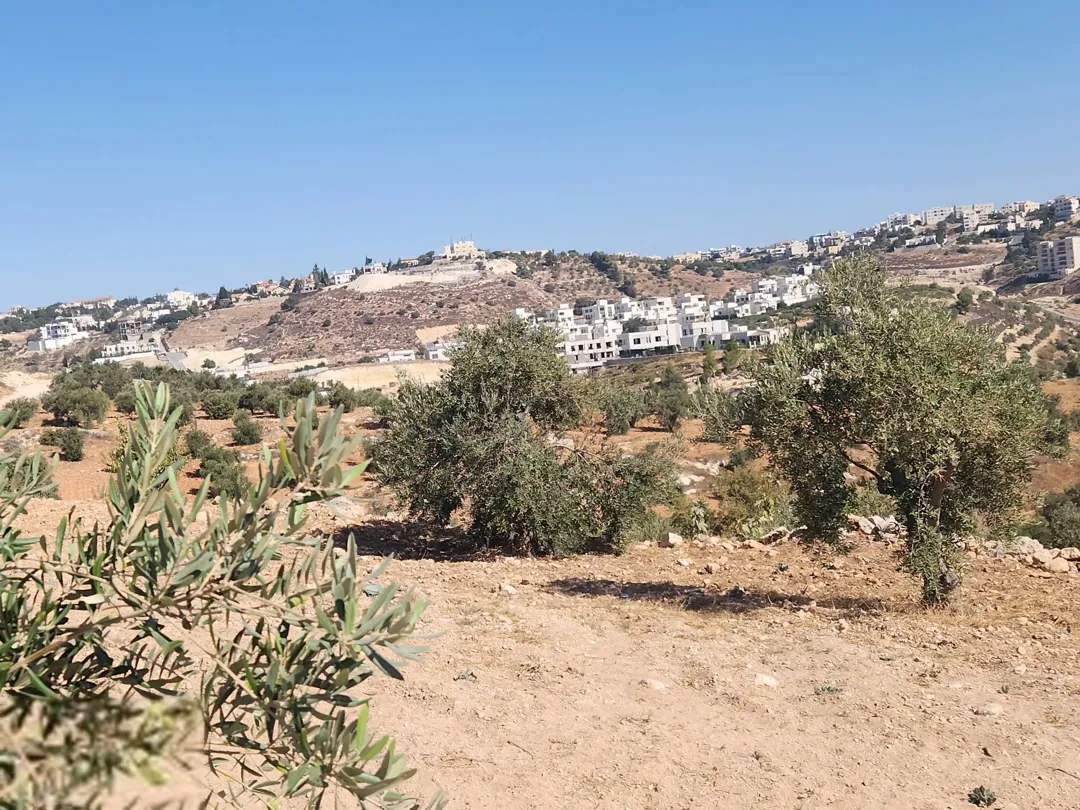 أجمل مناطق عمان الغربية بدر الجديده