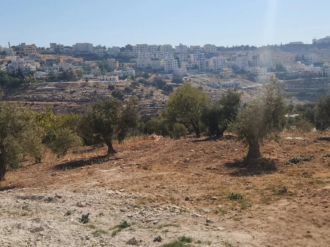 أجمل مناطق عمان الغربية بدر الجديده
