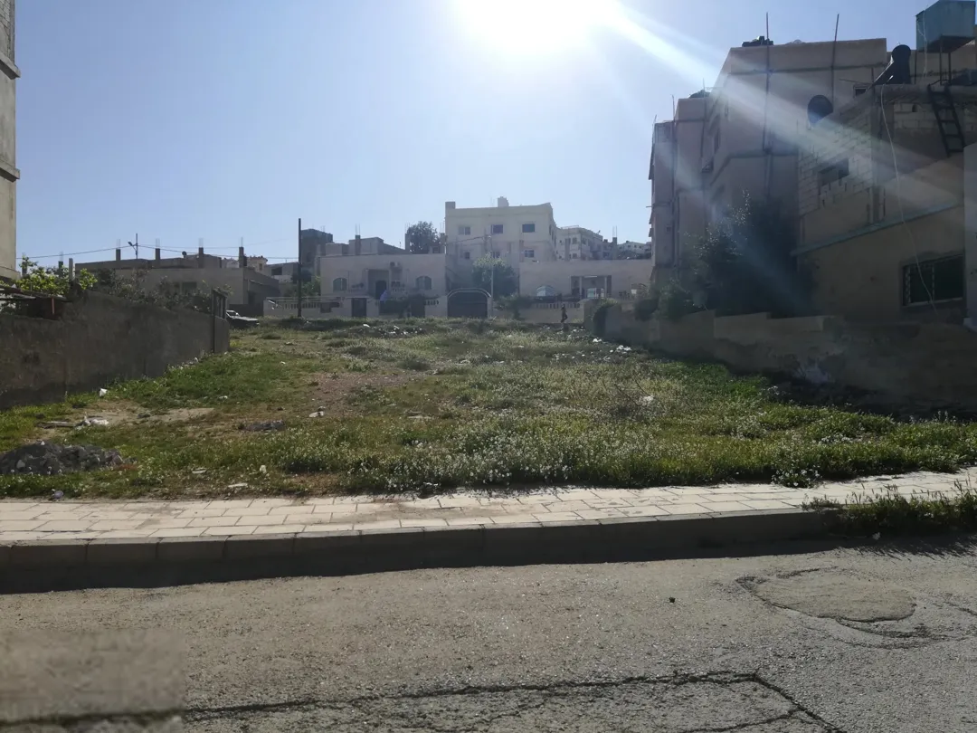 قطه ارض ممتازه