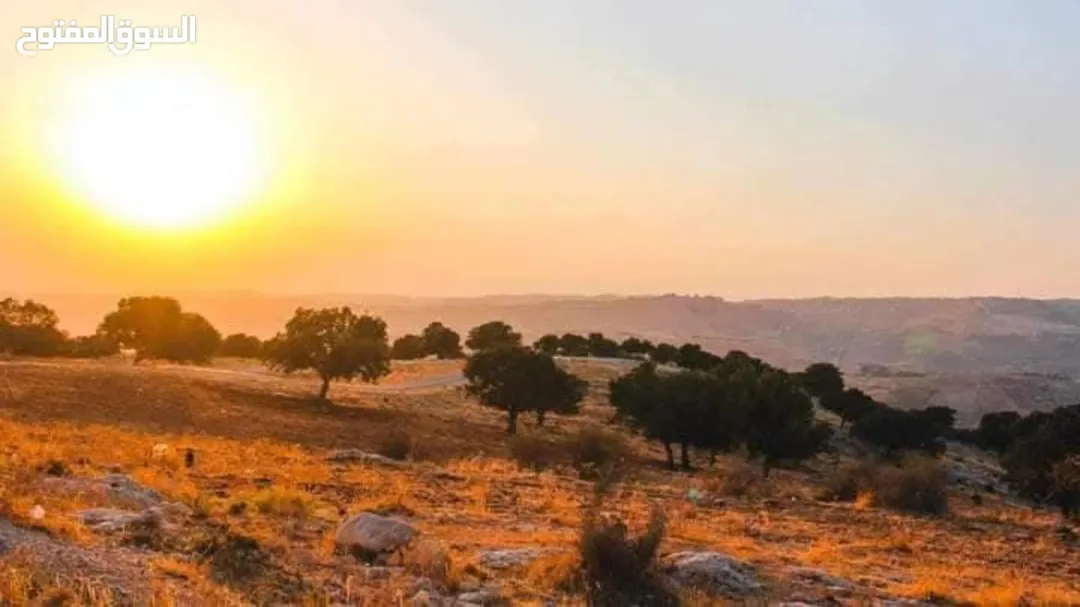 قطعة أرض سكنية للبيع في بدر الجديدة – غرب عمان