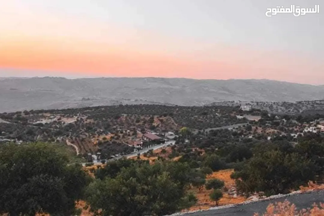 قطعة أرض سكنية للبيع في بدر الجديدة – غرب عمان