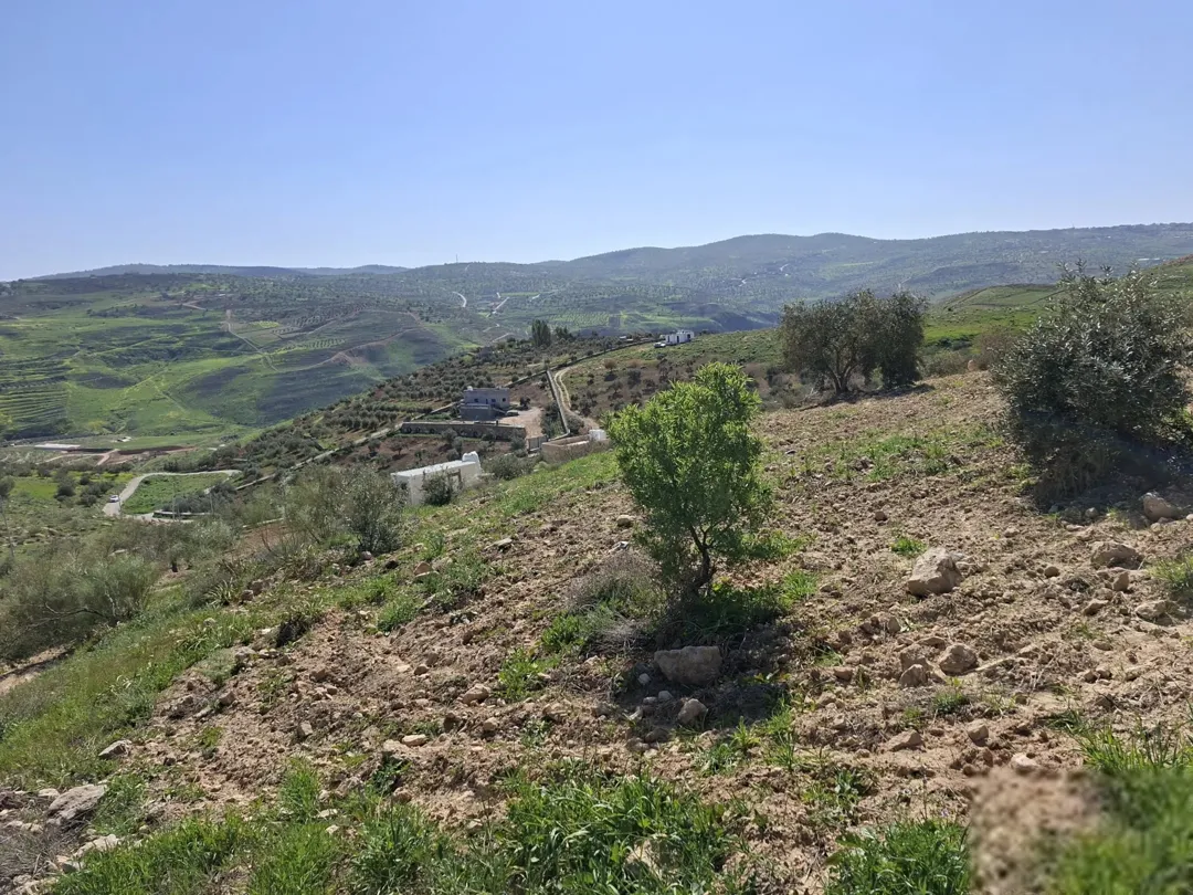 قطع أراضي فاخرة في قرية الكفير جرش