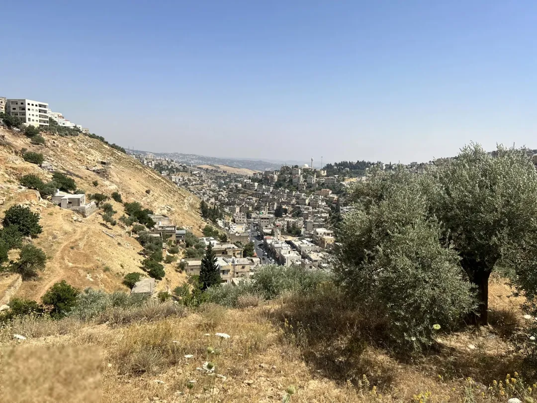 ارض سكنيه بالسلط سكن ج