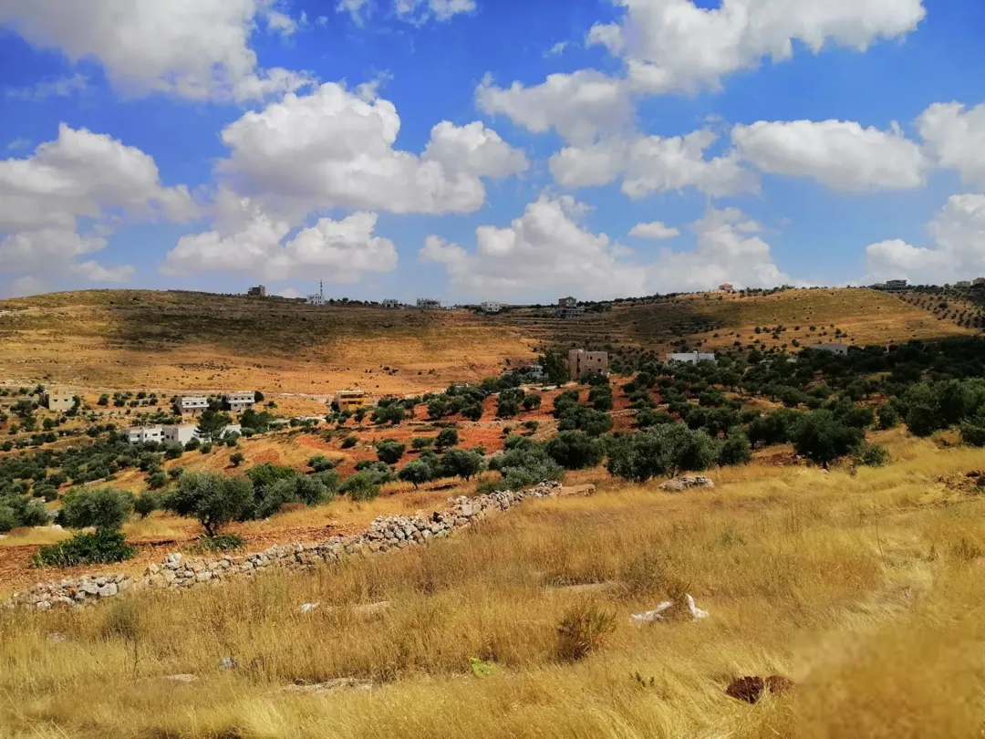 أرض زراعية مميزة للبيع في جرش – كفرخل