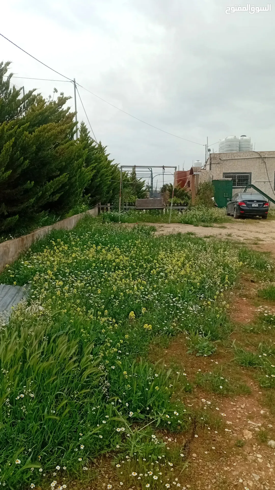 مزرعه للبيع