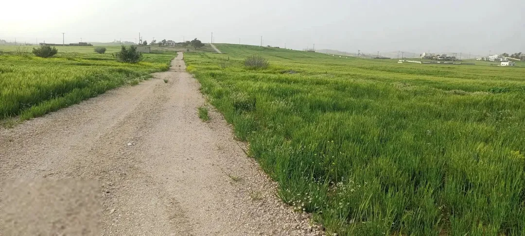 أرض زراعية في بلعما – الزيتونة