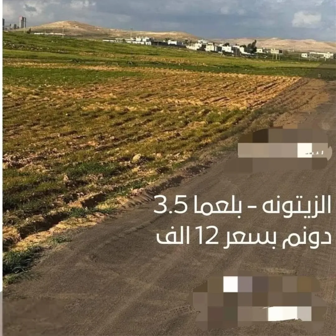 أرض زراعية في بلعما – الزيتونة