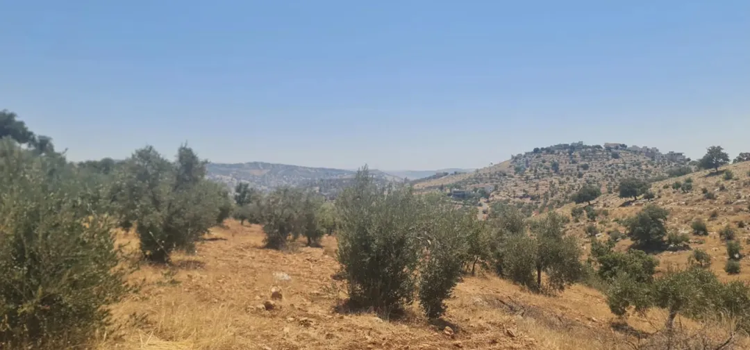 قطعة أرض مميزة في بدر الجديدة ذات إطلالة بانورامية بسعر لا يُقاوم