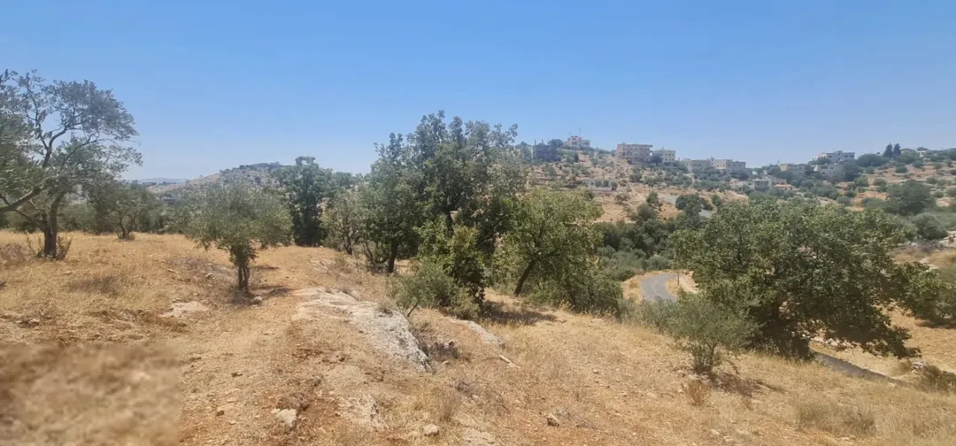 قطعة أرض مميزة في بدر الجديدة ذات إطلالة بانورامية بسعر لا يُقاوم