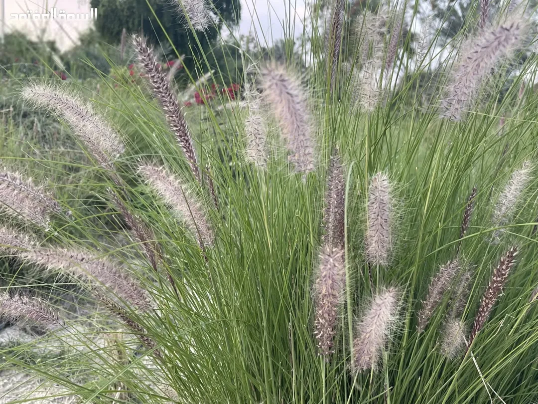 مطلوب فيلا حديثة للبيع في إربد
