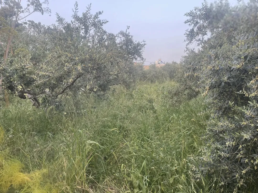 مطلوب فيلا حديثة للبيع في إربد