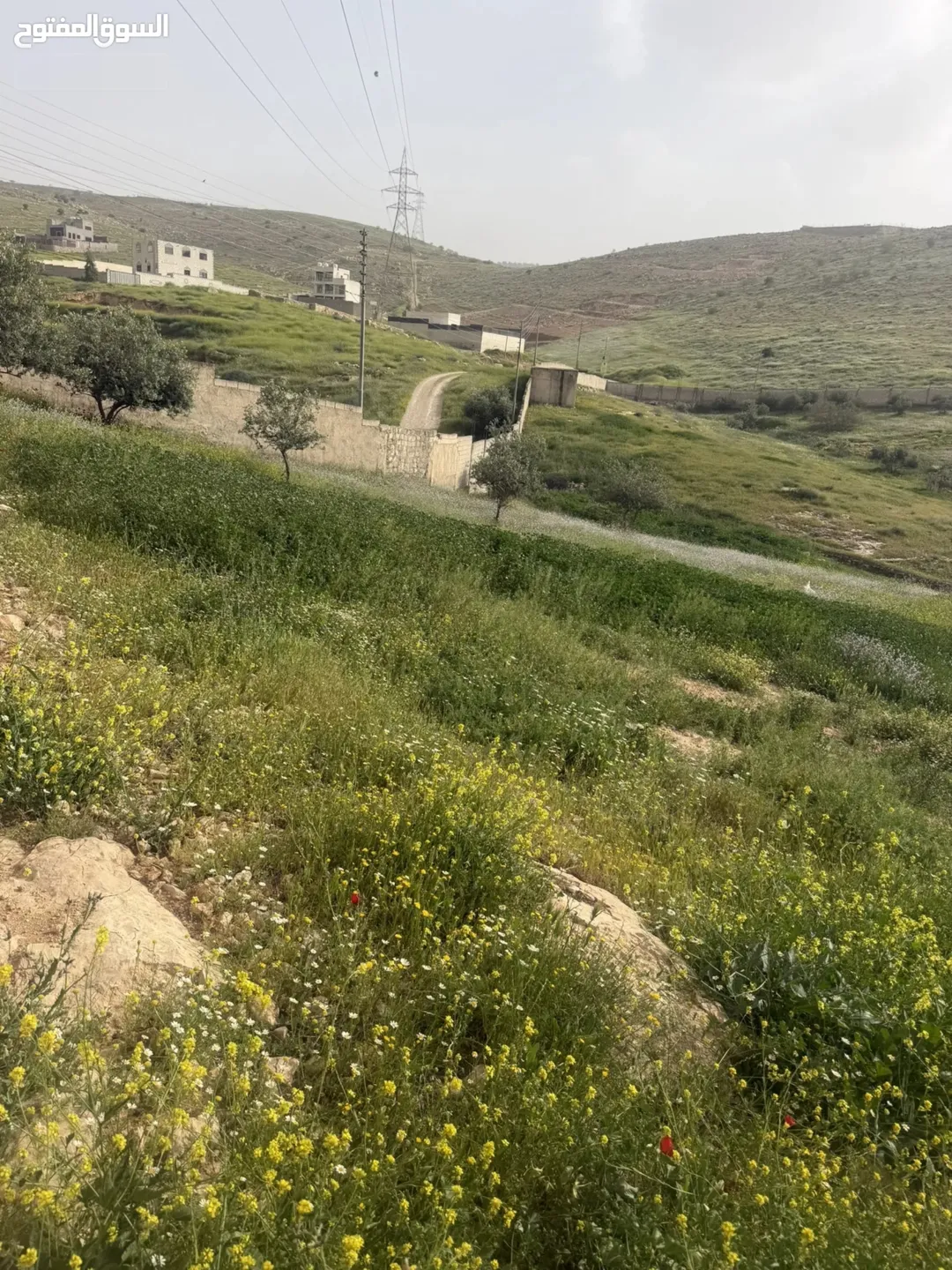 ارض للبيع في منطقة بيرين