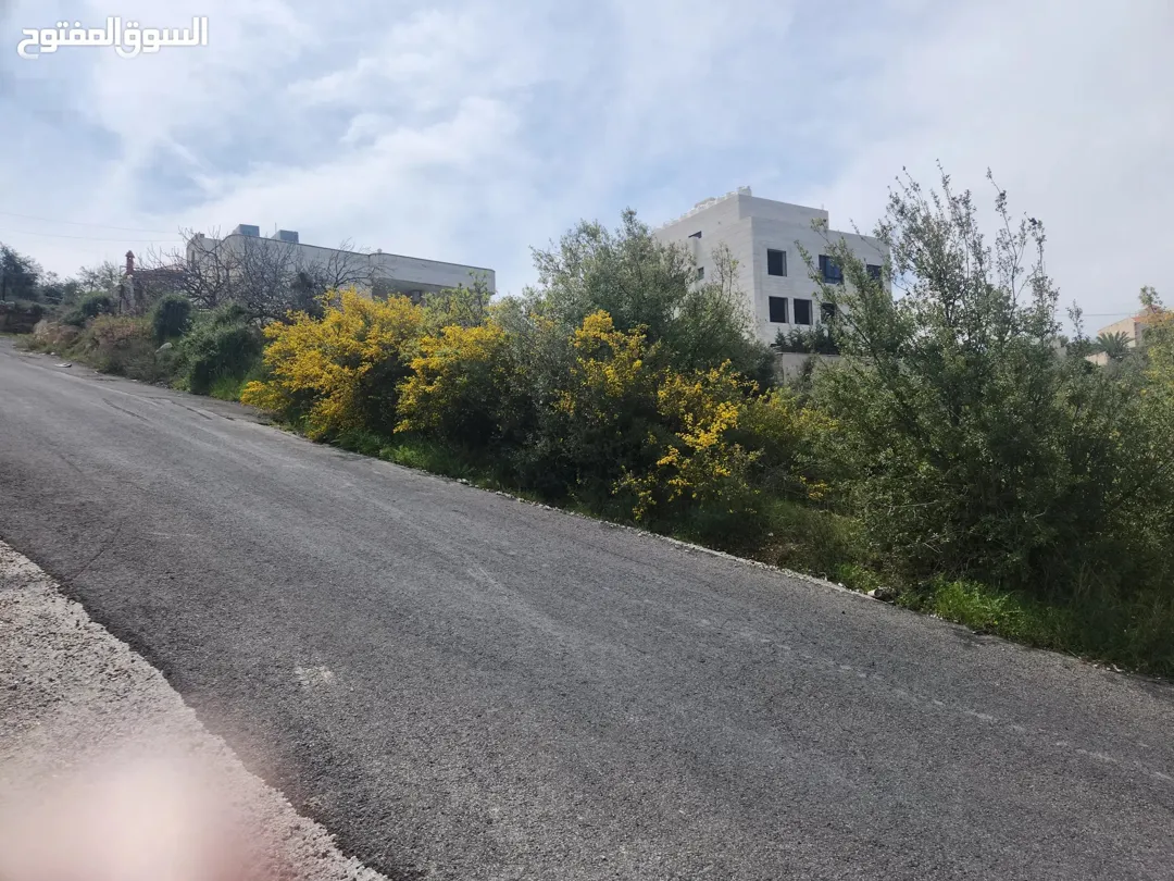 أجمل مناطق عمان الغربية بدر الجديده الغروس الغربي